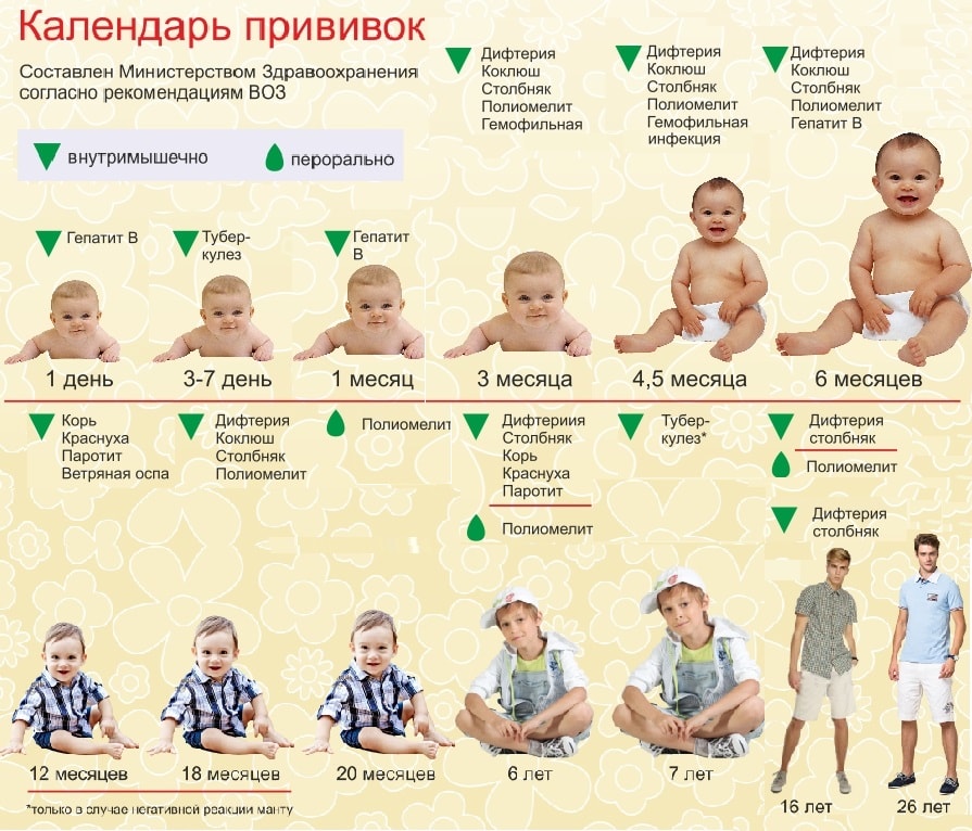 Какие прививки делать ребёнку