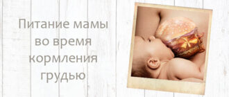 что можно есть на грудном вскармливании