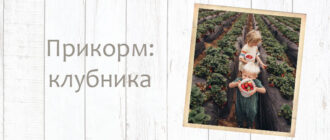 Когда можно давать ребёнку до года клубнику