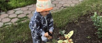 Учим ребёнка любить труд