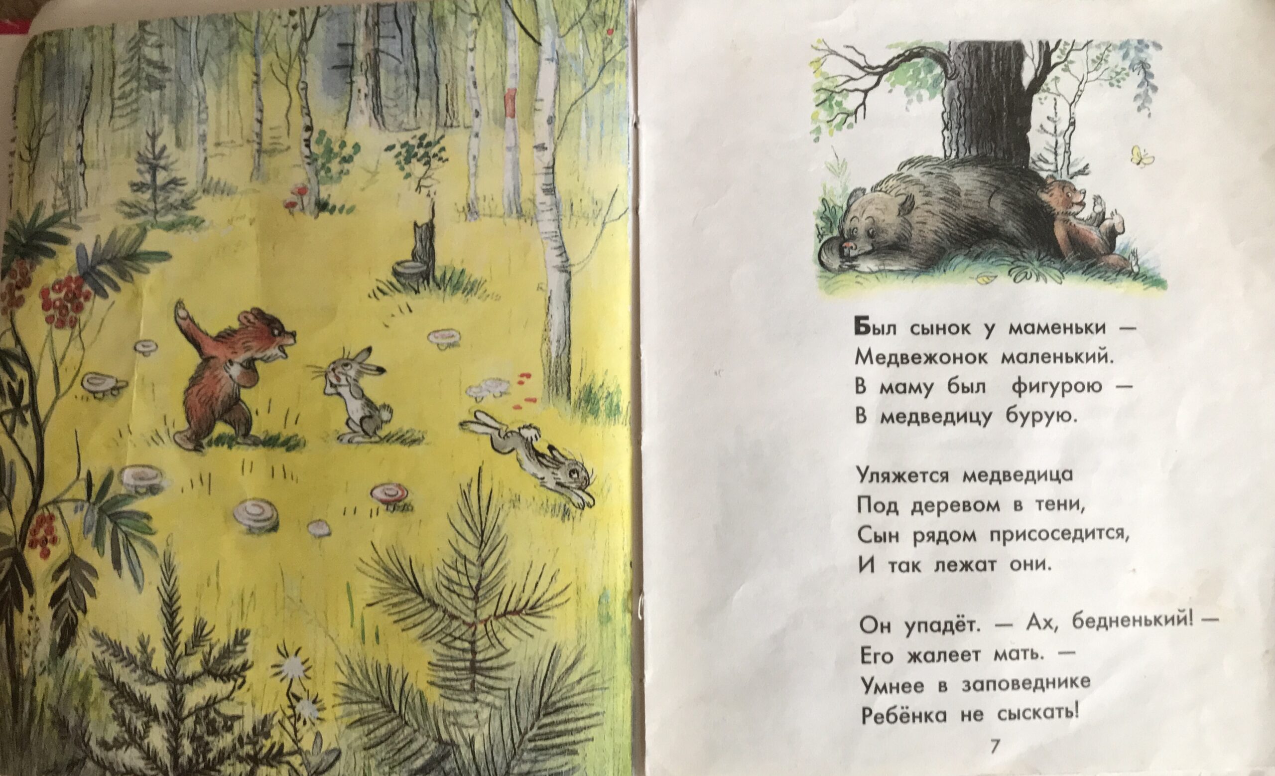 Пять детских авторов, с которых нужно начинать…